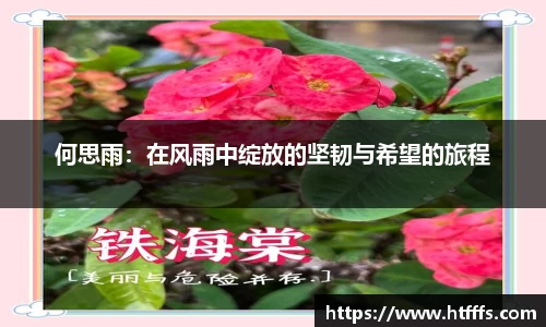 333体育平台