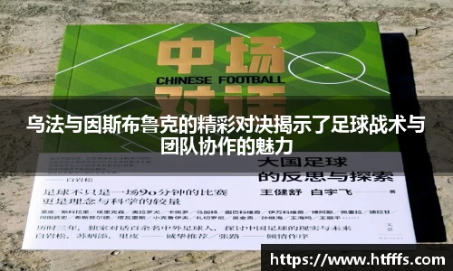 333体育官网